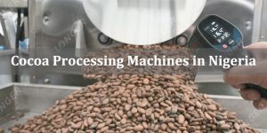 Cocoa Processing Machines in Nigeria