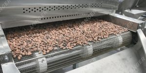 Cocoa Processing Plant Cost