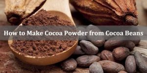 How to Make Cocoa Powder from Cocoa Beans