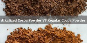 Alkalized Cocoa Powder VS Regular Cocoa Powder