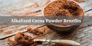 Alkalized Cocoa Powder Benefits