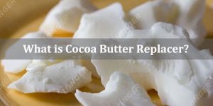 What is Cocoa Butter Replacer