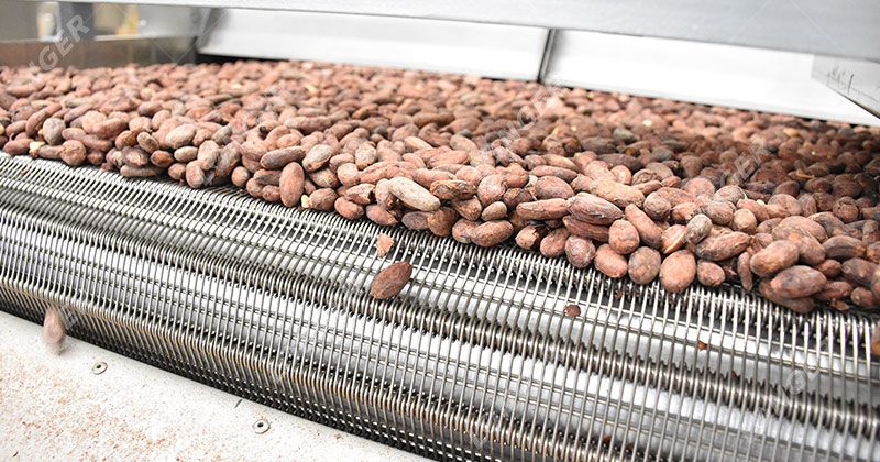 Roasting Process from Cocoa Beans to Chocolate