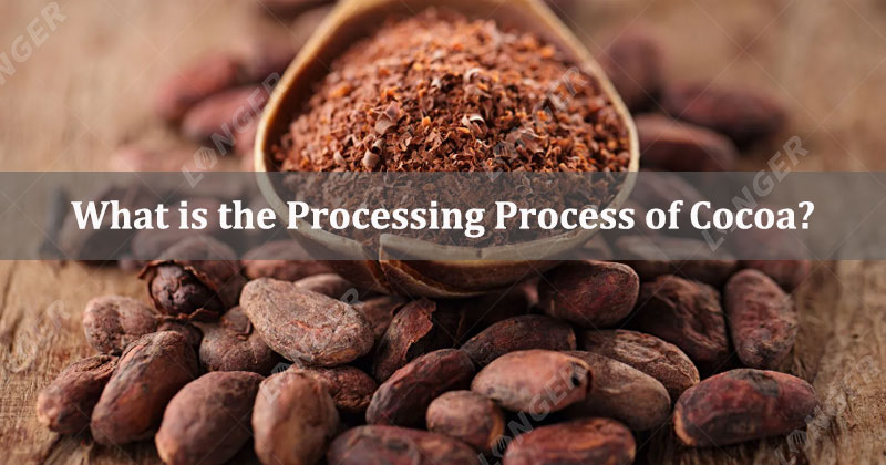 What is the Processing Process of Cocoa? 5 Stages - Cocoa Machinery