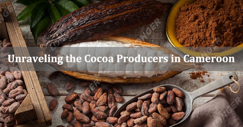 Unraveling the Cocoa Producers of Cameroon
