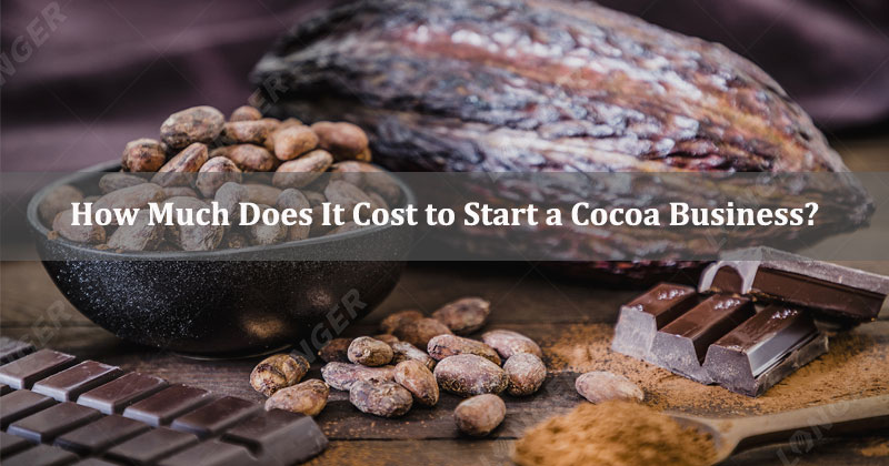 How Much Does It Cost to Start a Cocoa Business?