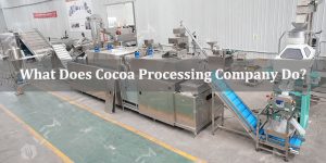 What do cocoa processing companies do