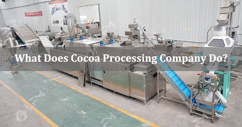 What do cocoa processing companies do