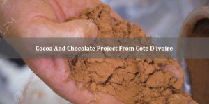 Cocoa And Chocolate Project From Cote D'ivoire